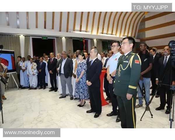 马里与毛里塔尼的较量：非洲足球的激情碰撞与战术较量