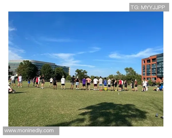 独家解析北京飞盘队与其他队伍比赛经验的差异与启示